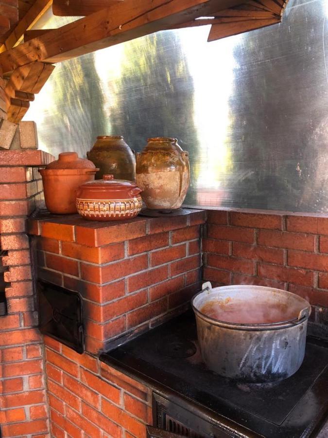 Vila Bijou Borşa Eksteriør bilde